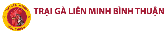 Trại Gà Liên Minh Bình Thuận